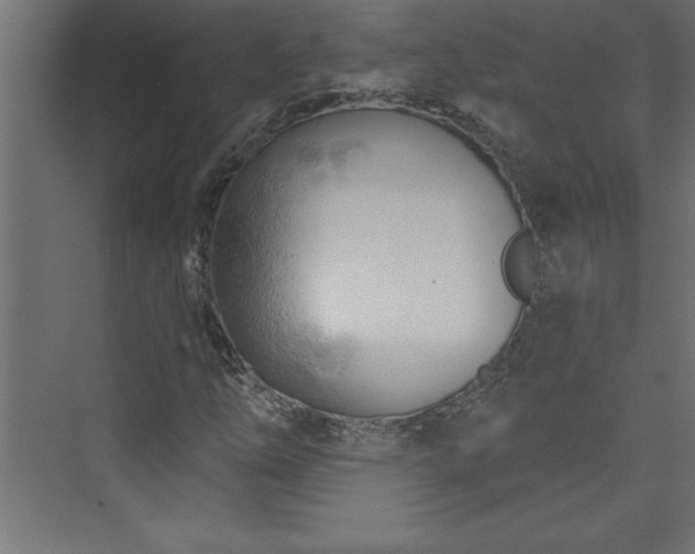 X0000073991254200608211339