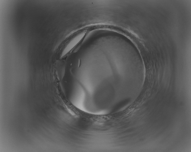 X0000073991255200608211339