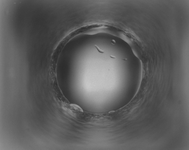 X0000073991256200608211339