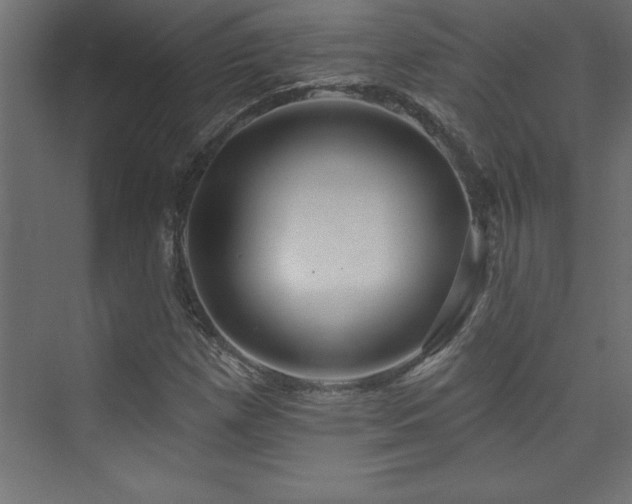 X0000073991257200608211339