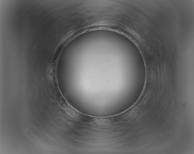 X0000073991258200608211339