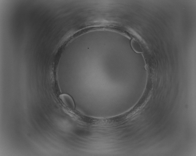 X0000073991259200608211339