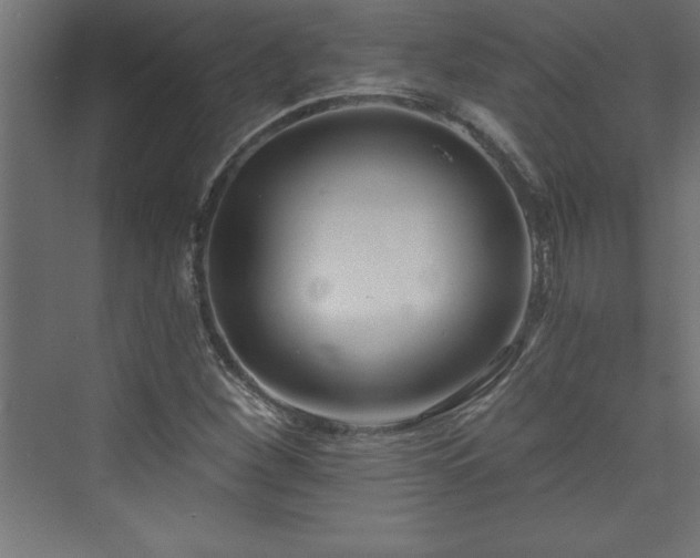 X0000073991260200608211339