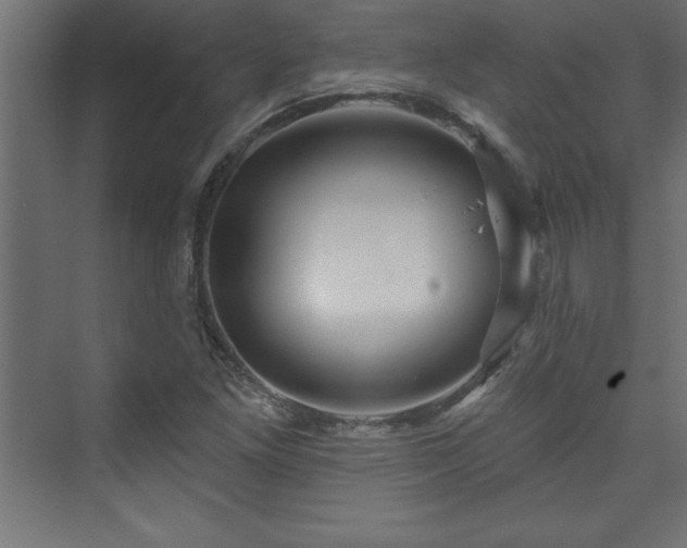 X0000073991261200608211339