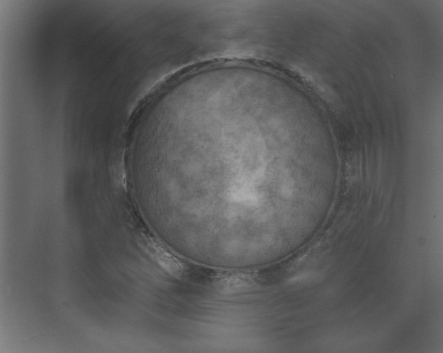 X0000073991262200608211339