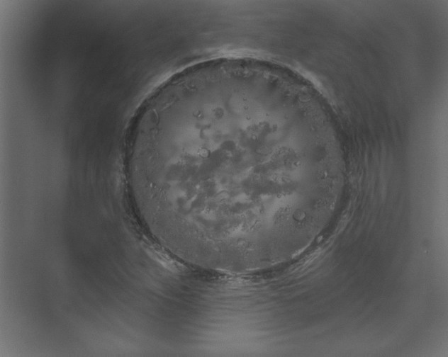 X0000073991263200608211339