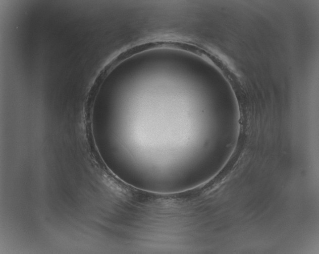 X0000073991264200608211339