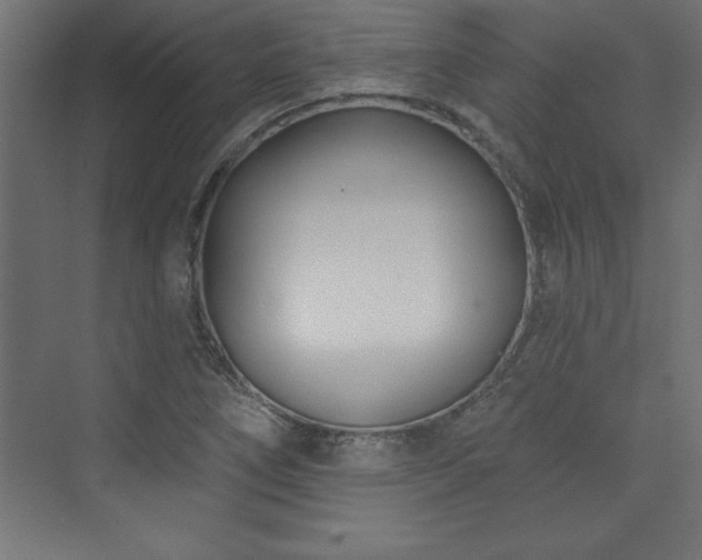 X0000073991266200608211339