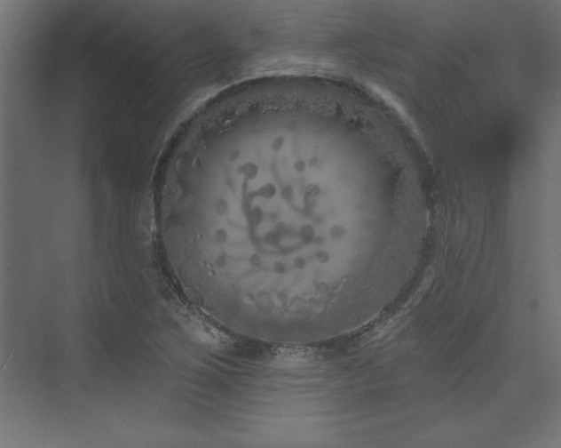 X0000073991267200608211339