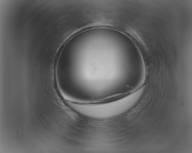 X0000073991268200608211339