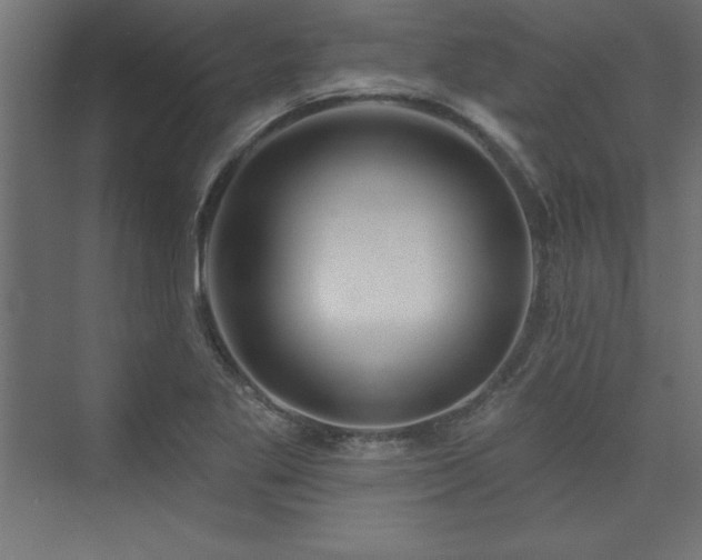 X0000073991269200608211339