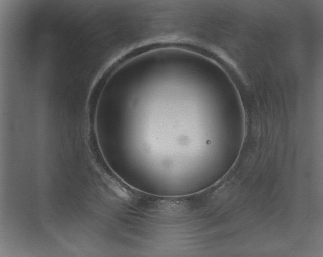 X0000073991270200608211338