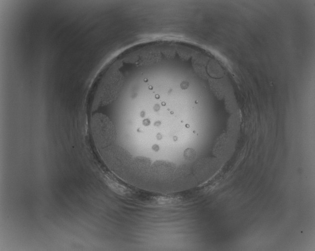 X0000073991271200608211338