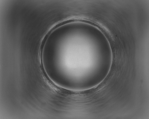 X0000073991272200608211338