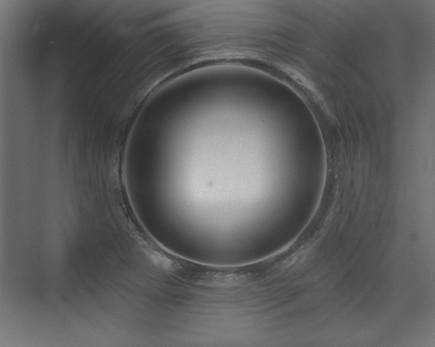 X0000073991273200608211338