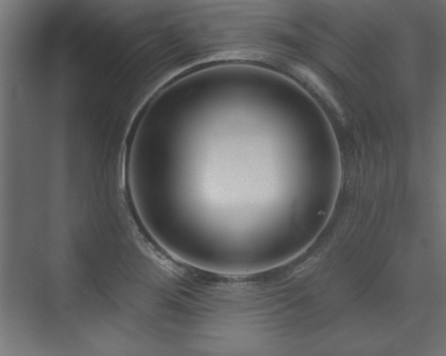 X0000073991276200608211338