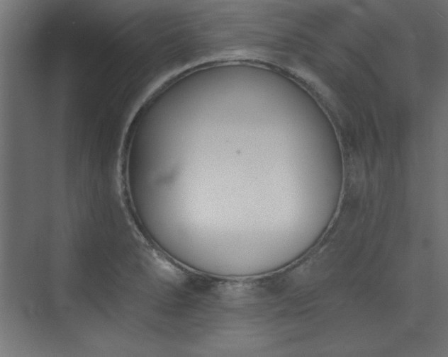 X0000073991278200608211338