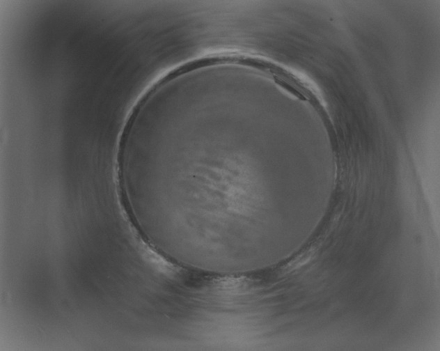 X0000073991279200608211338