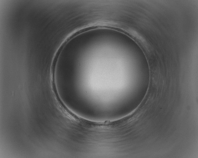 X0000073991280200608211338