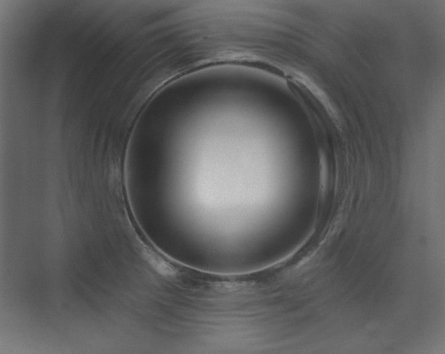 X0000073991281200608211338