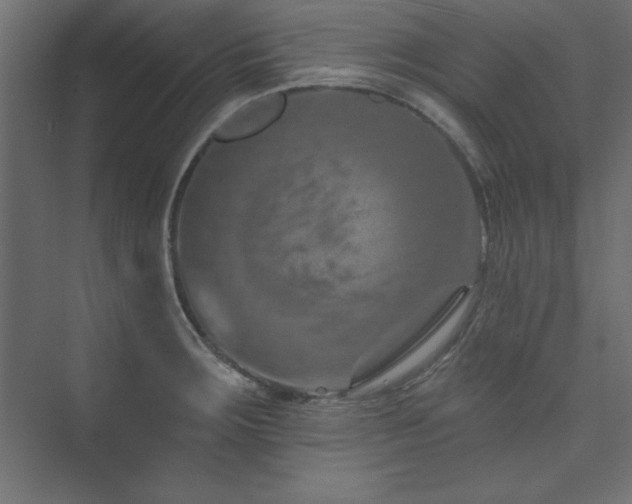 X0000073991283200608211338