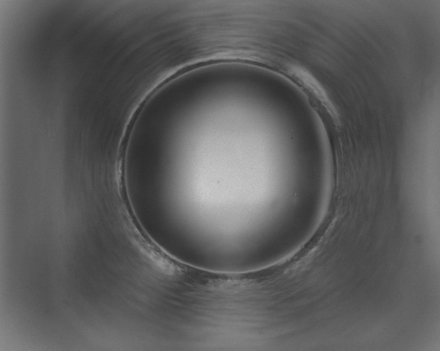 X0000073991284200608211338