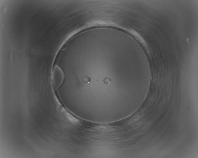 X0000073991287200608211338