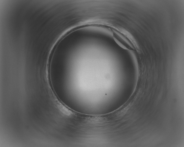 X0000073991288200608211338