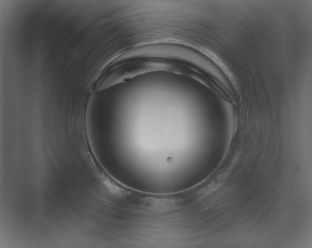 X0000073991289200608211338