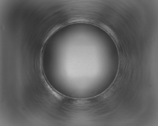 X0000073991290200608211338