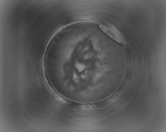 X0000073991291200608211338