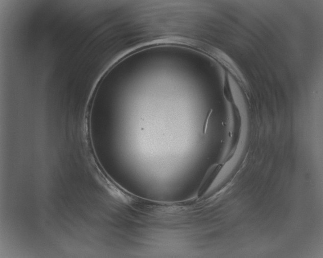 X0000073991292200608211338