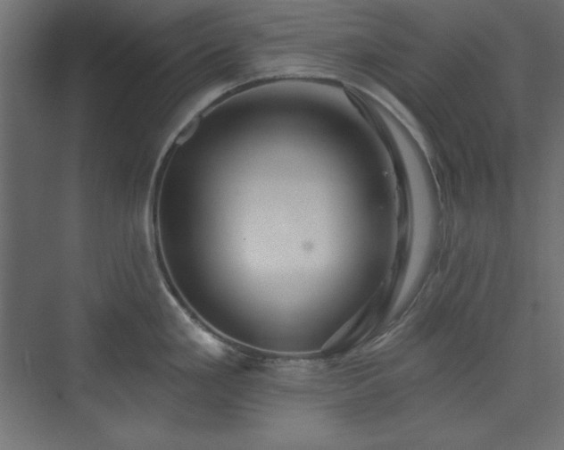 X0000073991293200608211338