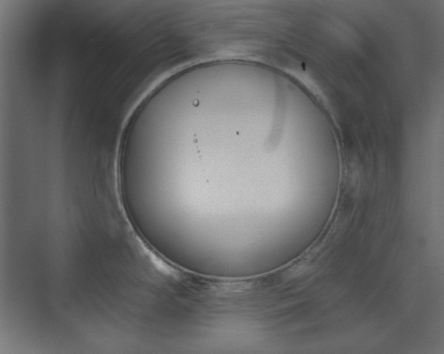 X0000073991294200608211338