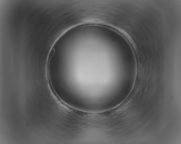 X0000073991295200608211338