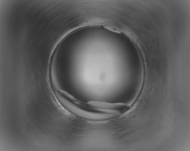 X0000073991296200608211338