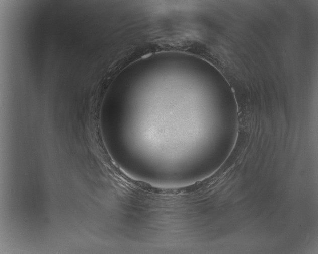 X0000073991297200608211337