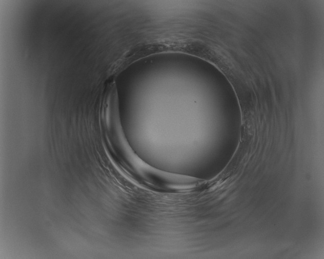 X0000073991298200608211337