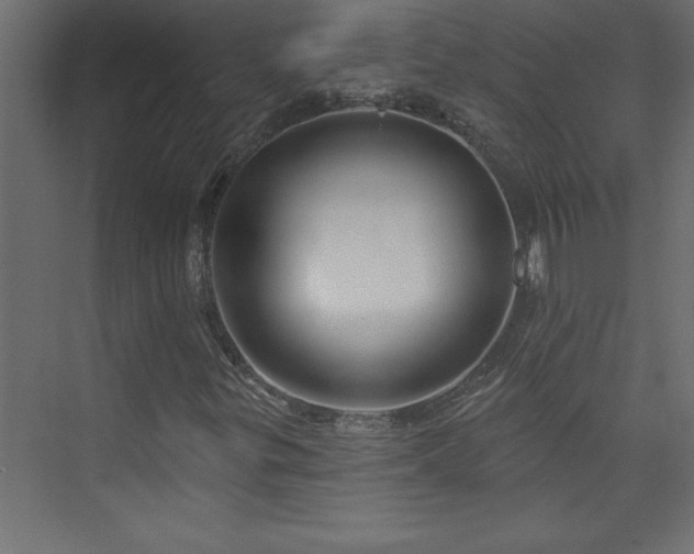 X0000073991299200608211337