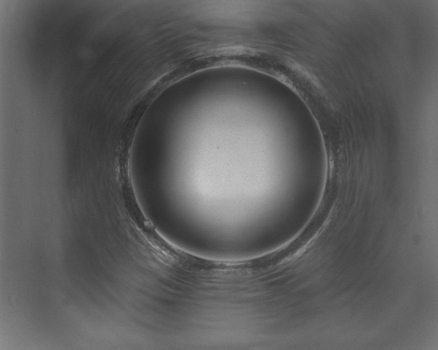 X0000073991305200608211337