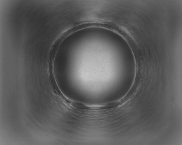 X0000073991307200608211337