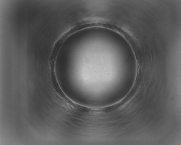 X0000073991309200608211337