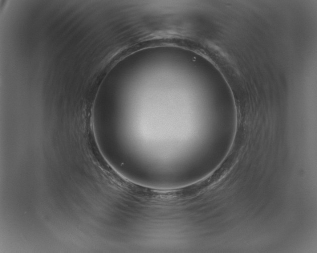 X0000073991313200608211338