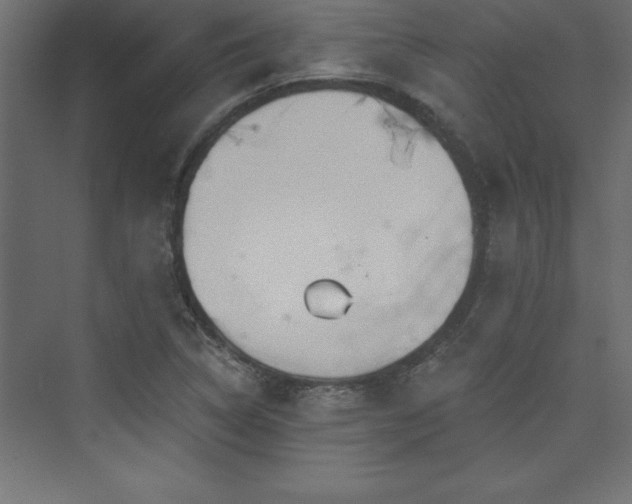 X0000073991314200608211338