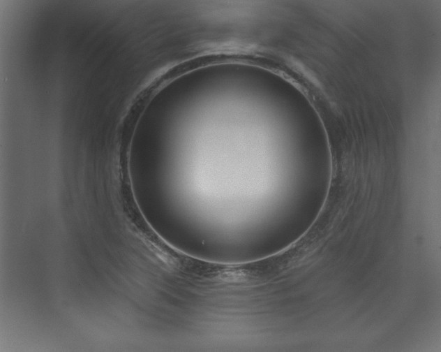 X0000073991315200608211338