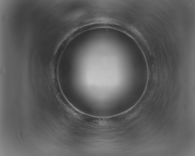 X0000073991318200608211338