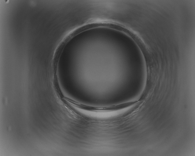 X0000073991319200608211338