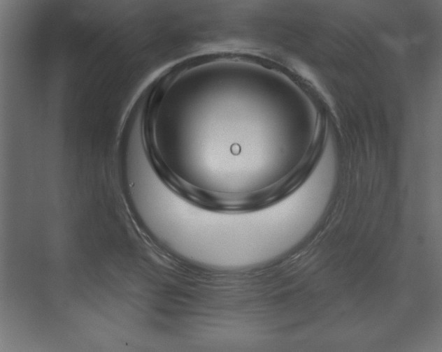 X0000073991320200608211338