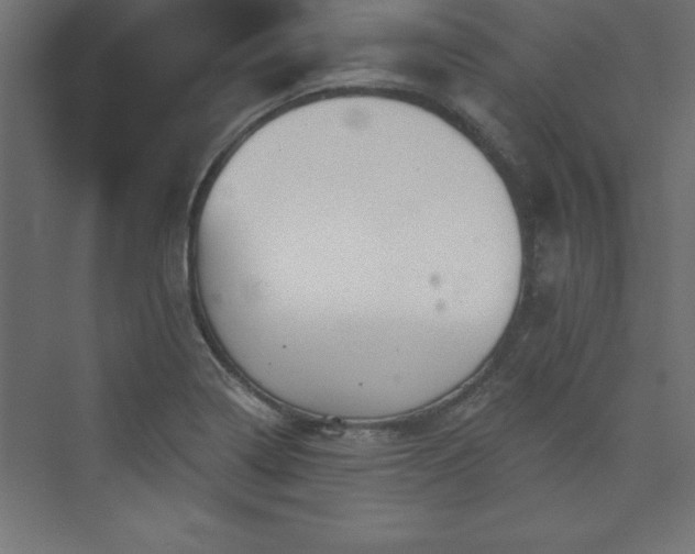 X0000073991322200608211338