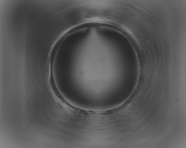 X0000073991323200608211338